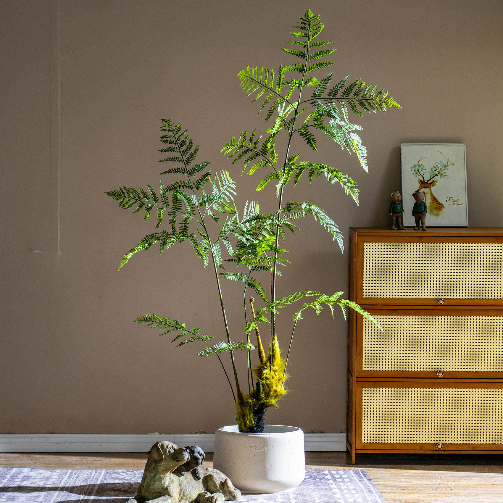 真树蕨类植物金丝猴阙高端轻奢生绿植室内猴头蕨假树盆栽摆件
