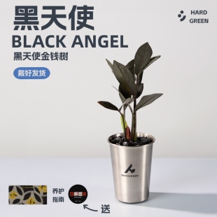 硬核生长· 不锈钢花盆冷杯花盆个性ins风掌中小孔径透气花瓶