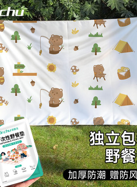 一次性便携野餐垫布小学秋游儿童沙滩垫加厚防潮防水沙音乐节露营