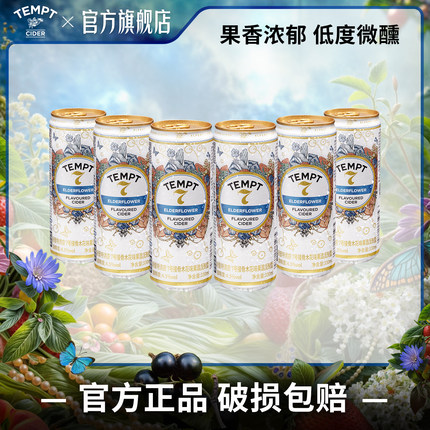 TEMPT诱惑7号接骨木味易拉罐装西打果酒微醺女士低度酒气泡水果酒