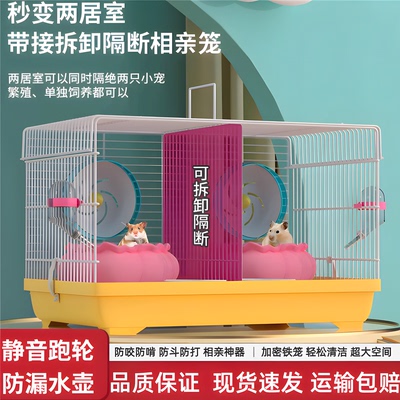 两只仓鼠共同笼子双人间分开猖鼠