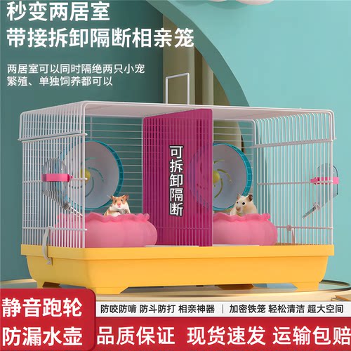两只仓鼠共同笼子双人间分开猖鼠