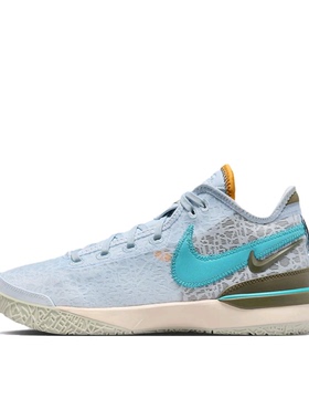Nike Zoom LeBron NXXT Gen DR8788-400 M广东BB下单请看详情页W