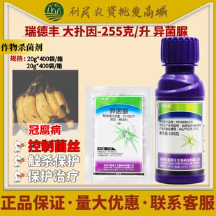 瑞德丰 大扑因225克/升 异菌脲冠腐病香蕉 低毒悬浮剂农药杀菌剂