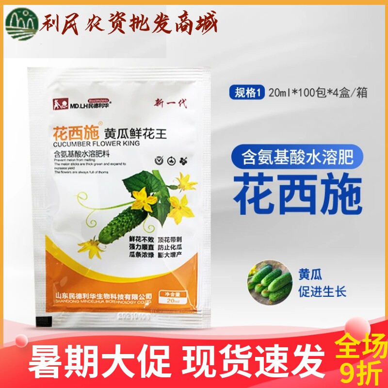 民德利华花西施黄瓜鲜花