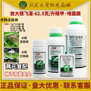 真格 放大镜飞灌 62.5克/升精甲·咯菌腈恶苗病烂秧病悬浮种衣剂