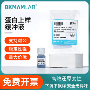 比克曼生物蛋白上样缓冲液SDS-PAGE还原型电泳实验Loading buffer