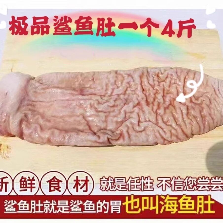 深海鲨鱼肚新鲜海鲜海八珍花胶鱼胶天然鱼肚鱼鳔营养美味顺丰包邮