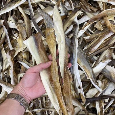 淡干鲨鱼皮干煲汤鱼皮干货滋补品