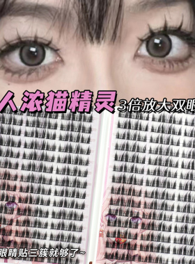 睫天使浓猫精灵32睫毛书