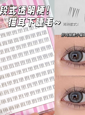 睫天使分段猫耳下睫毛新手