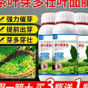 茶叶专用叶面肥茶叶芽芽素芽剂爆牙素有机水溶肥壮芽嫩芽素