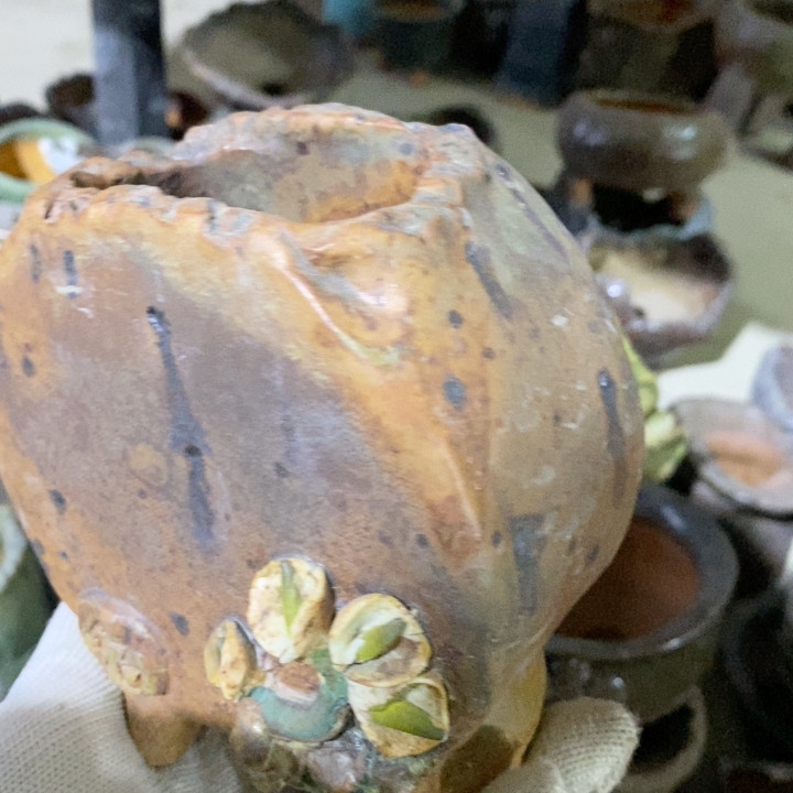 福利,家居饰品,花盆,淘宝优惠券,粉丝福利购,淘宝优惠卷