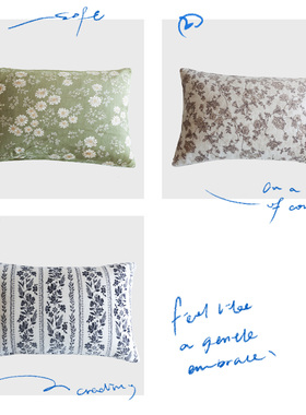 Spentime秋冬绒咩咩牛奶绒印花保暖亲肤枕套一对装枕芯套枕头套