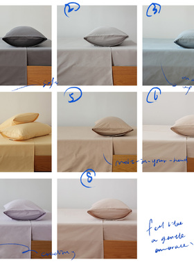 Spendtime100双股纯棉全棉长绒棉磨毛床单床笠秋冬单品保暖多色