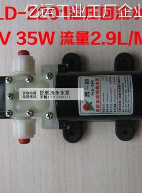 *普兰迪220124V35W微型水泵自吸喷雾器水泵电动直流隔膜泵回流小