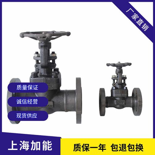J41H-16/25锻钢闸阀导热阀耐高温蒸汽阀法兰阀DN15-50