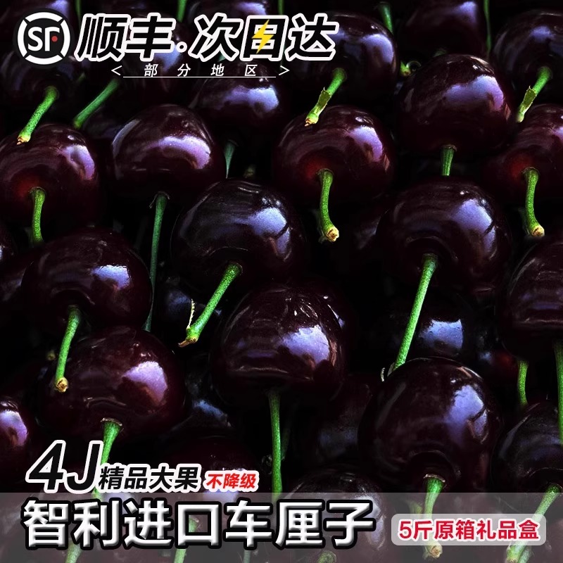 智利进口桑提娜大樱桃礼盒