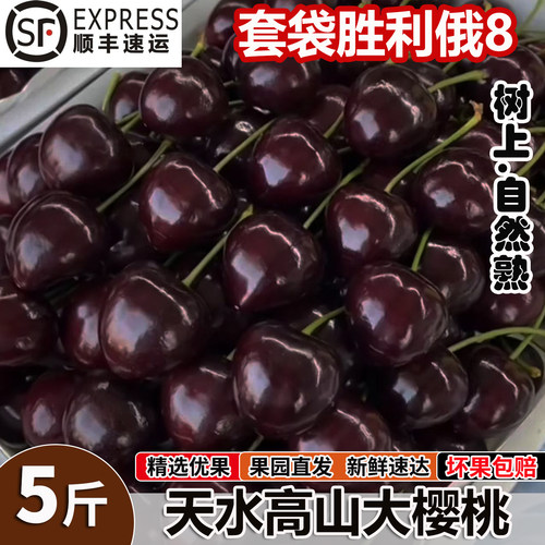 天水大樱桃胜利套装樱桃车厘子