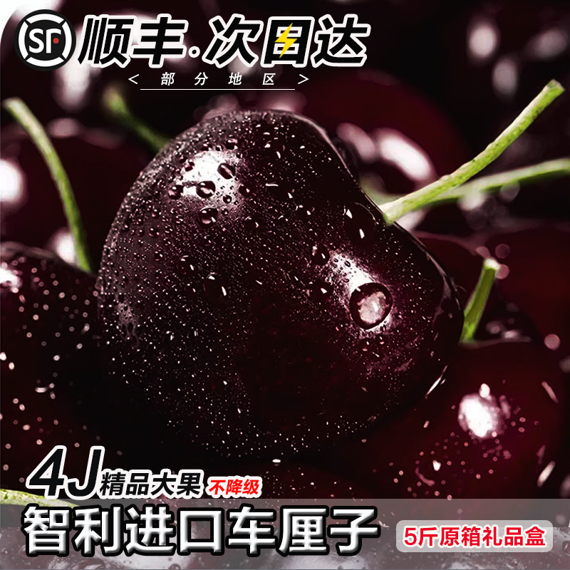 智利进口黑珍珠大樱桃礼盒