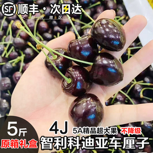 智利科迪亚车厘子新鲜水果2j3j当季进口孕妇大樱桃4斤原箱礼品盒