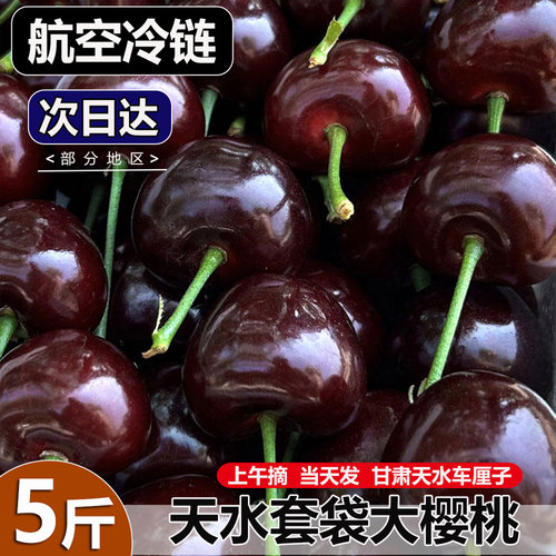 天水大樱桃套袋国产车厘子4J顺丰