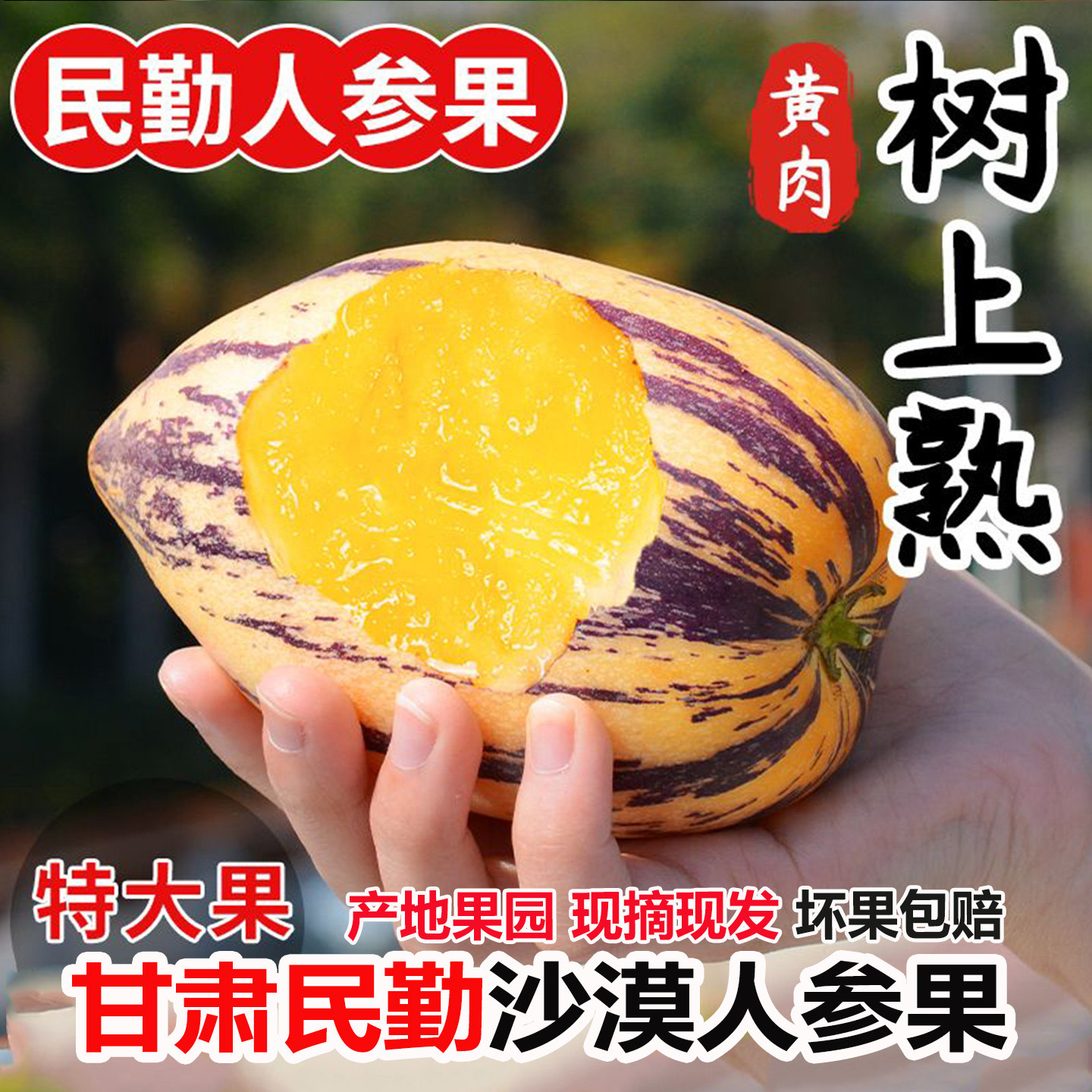 甘肃民勤沙漠人参果当季新鲜水果娃娃果低糖黄肉人参果现摘现发,水产肉类/新鲜蔬果/熟食,人参果,淘宝优惠券,粉丝福利购,淘宝优惠卷