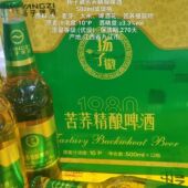 正品 扬子精酿啤酒扬子徽苦荞精酿玻璃瓶易拉罐啤酒保真直营直发
