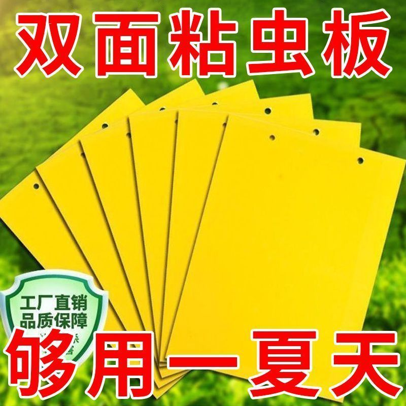 双面黄板粘虫板果园诱捕实蝇蜂