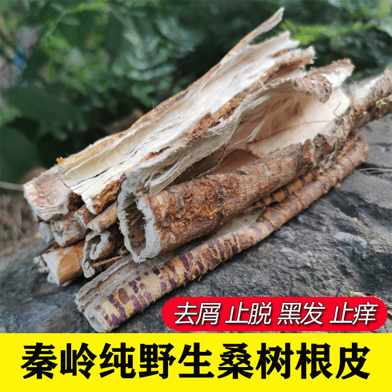 桑白皮500克 秦岭野生桑树根皮老桑皮中药材桑树皮桑树皮洗头去屑