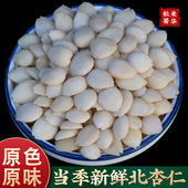 中药材杏仁500g克药食两用北杏仁去皮原味杏仁苦杏仁新货无硫去尖