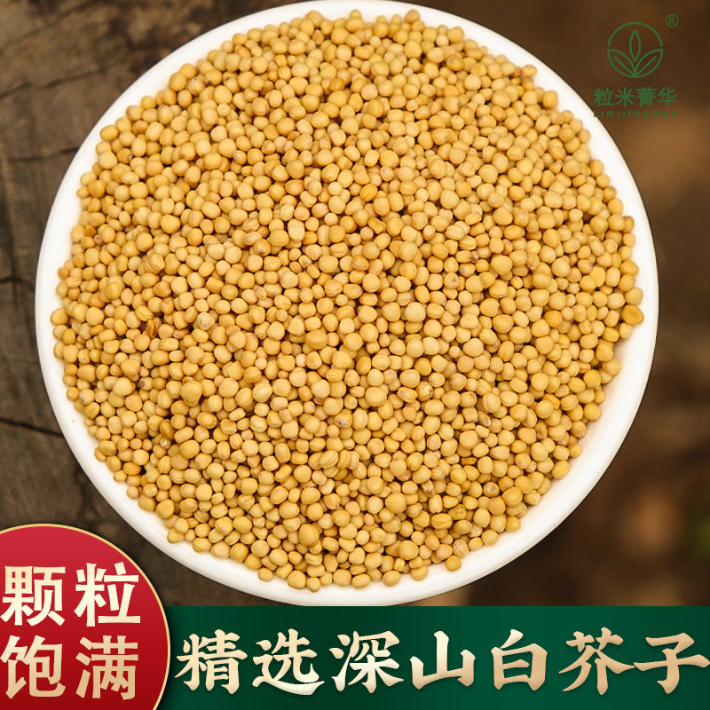 白芥子正宗山东白芥子白芥种子芥菜籽辣菜籽作用直播