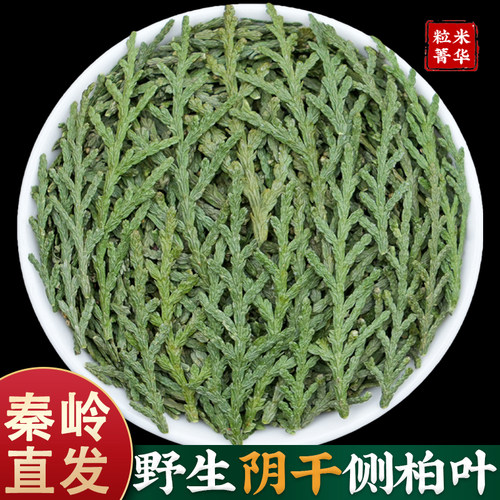 秦岭野生新鲜阴干500g侧柏叶