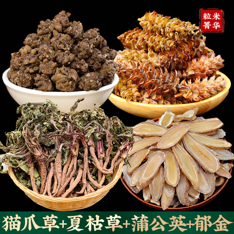 散 节蒲公英猫爪草郁金夏枯球除节中药材原料解汤乳腺女