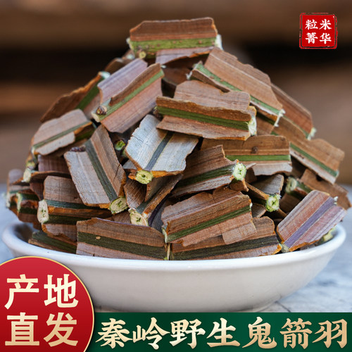 野生秦岭新鲜带枝鬼箭羽