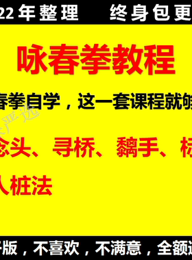 咏春拳击自学木人桩教程叶问蹲咏春儿童成人武术拳谱秘籍视频