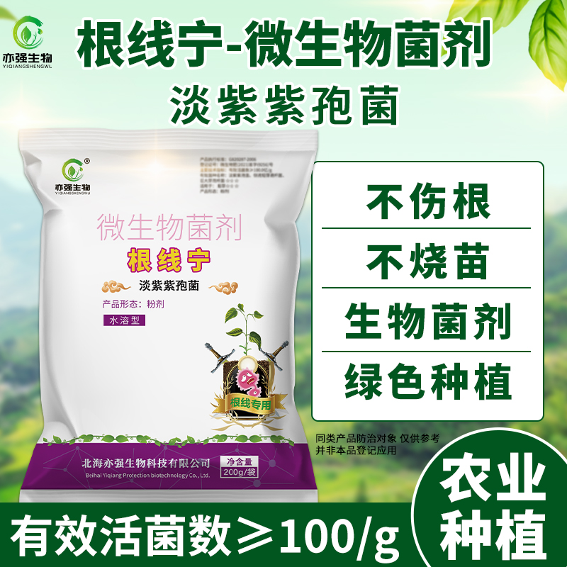 根线宁淡紫拟青霉抑制根结线虫