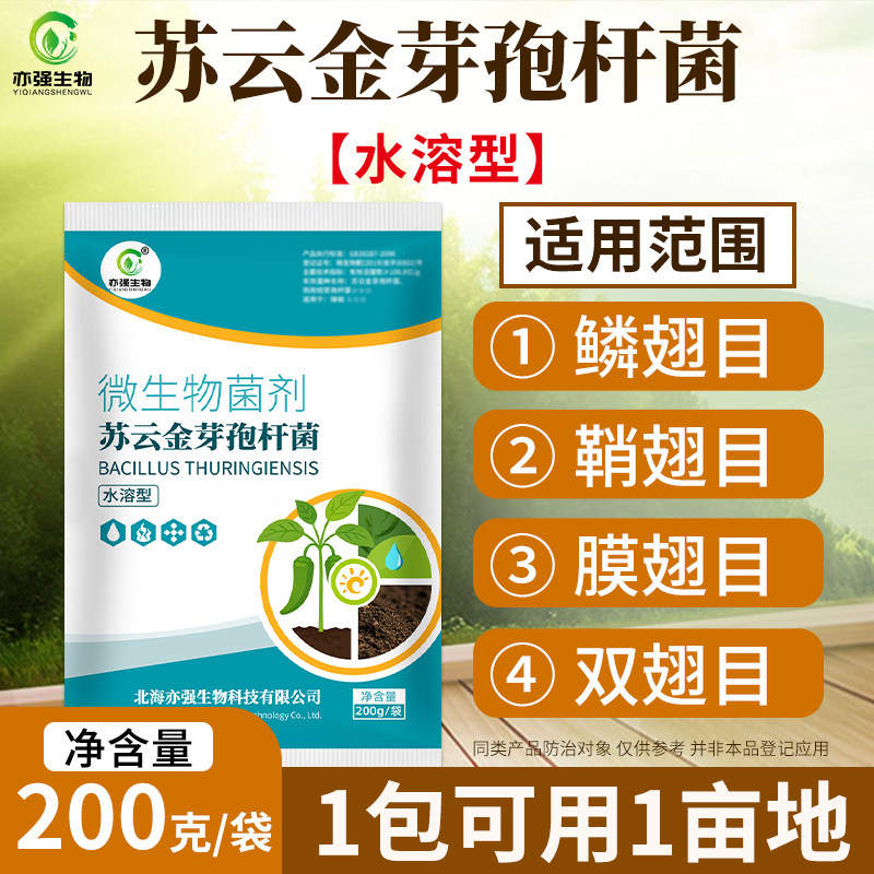全水溶型苏云金芽孢杆菌浸染钻心虫小菜蛾植物菜青虫玉米螟等虫体