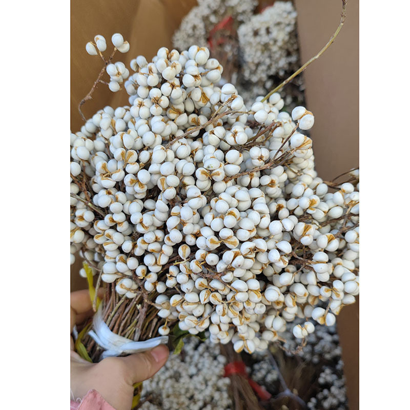 小白果干花圣诞节乌桕束
