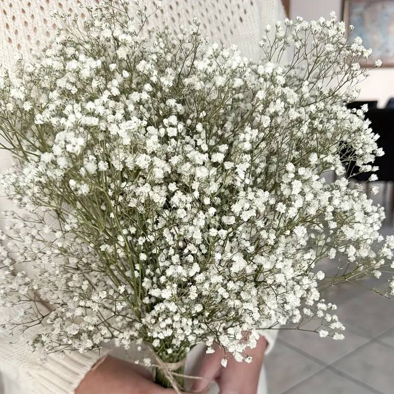 满天星干花花束手工花材摆件婚庆派对真花永生花插花瓶装饰