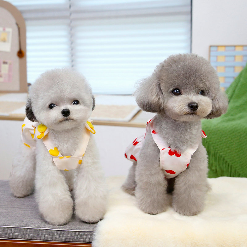 春夏彩绘牵花裙引套装宠物狗狗泰迪比熊中小犬背心式胸背狗衣服