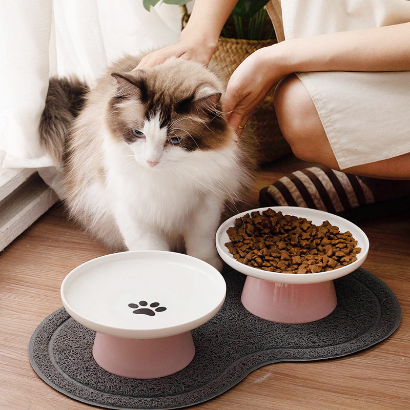 猫碗高脚护颈陶瓷碗猫咪碗预防黑下巴亮光色釉陶瓷宠物碗小型狗碗