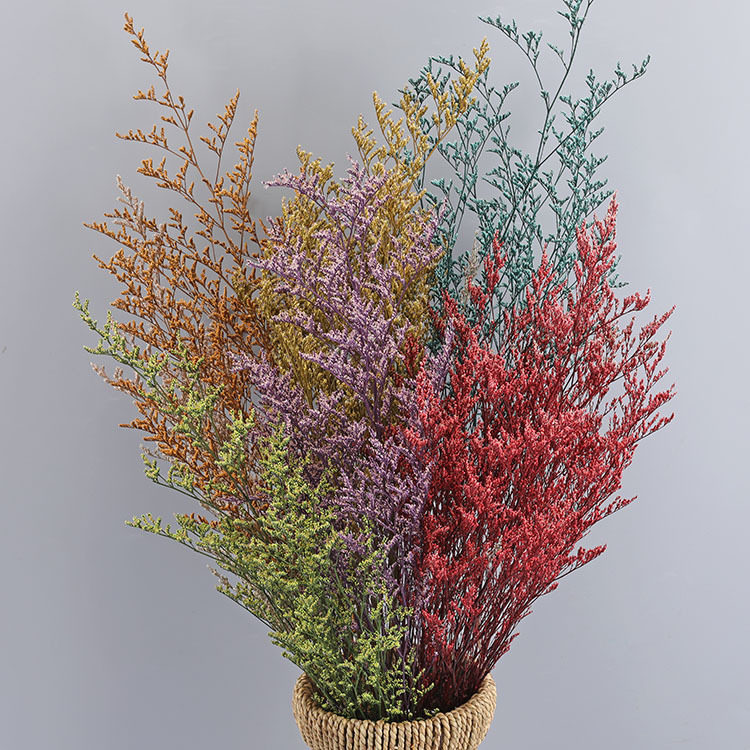 情人草干花永生花配材花材花束diy礼盒吸色永生花diy