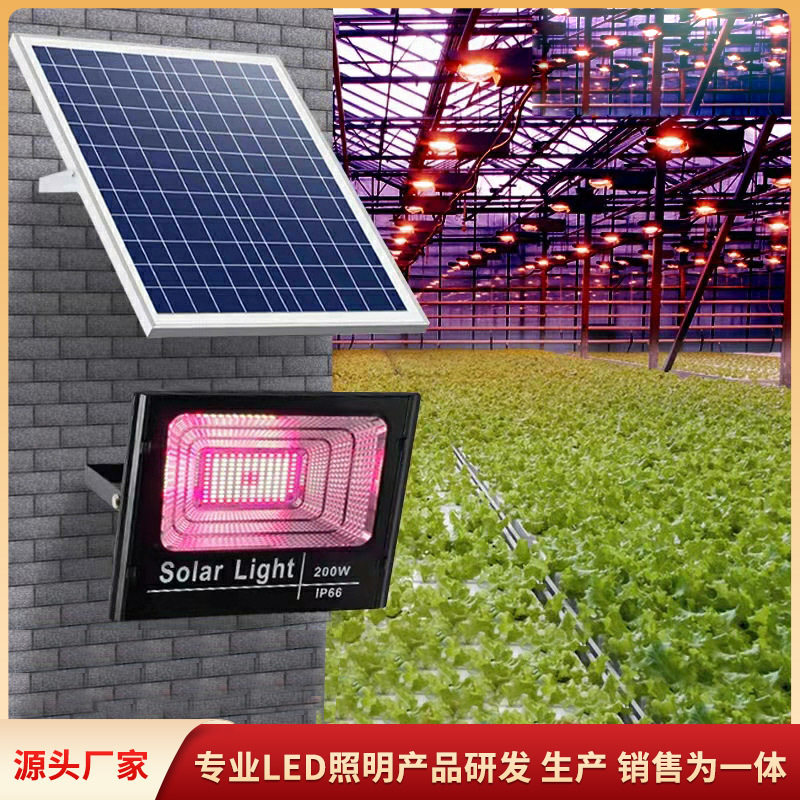 太阳能大功率led植物生长