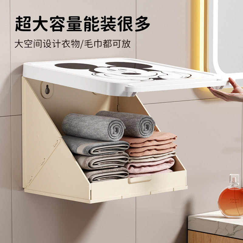 浴室壁画收纳箱卫生间放