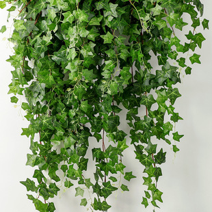 装饰遮挡挂墙绿植仿真常春藤假花藤条壁挂植物吊兰藤蔓绿叶垂吊