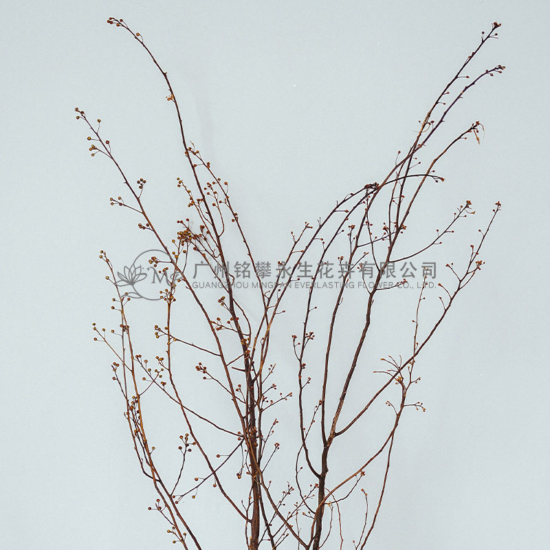 【永生灯台】干枝腊梅花枝中式插花家居装饰永生花