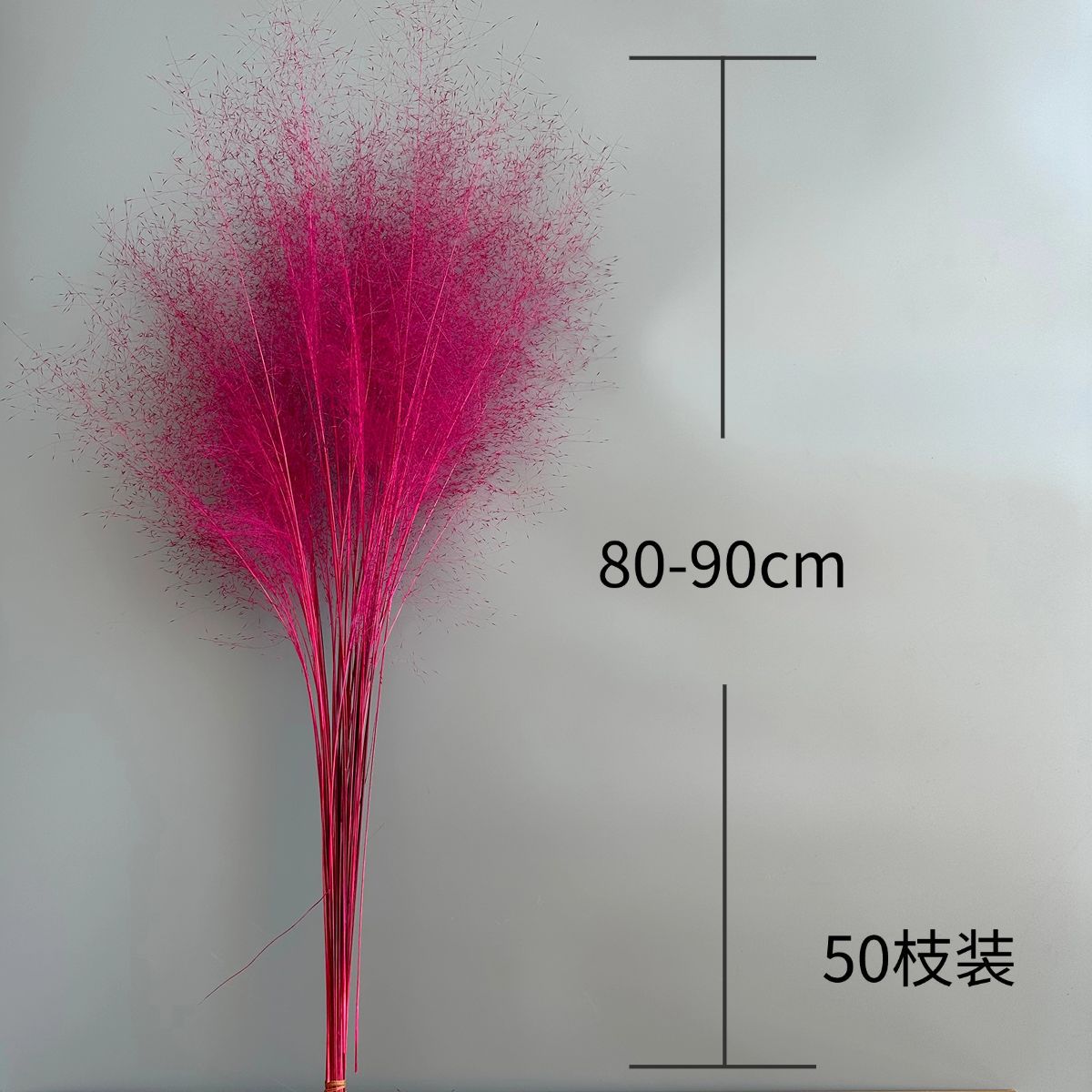 粉黛 永生花 干花乱子草家居装饰婚庆布置网红梦幻彩色蚊子草