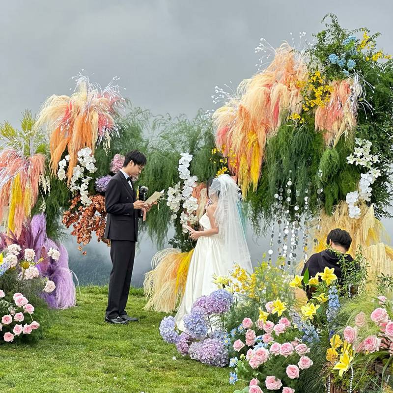 永生龙须草 永生花家居装饰婚庆装饰配材 白日焰火 烟花雾状花材
