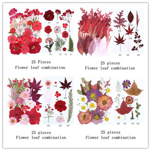 25片花叶组合包真花压花植物标本花瓣妆押花台灯蜡烛贴画干花diy